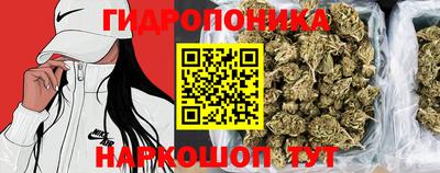 2c-b Балаково