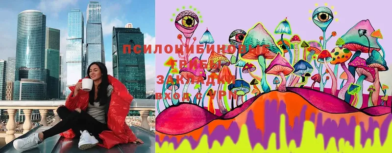 наркошоп  mega как войти  Псилоцибиновые грибы MAGIC MUSHROOMS  Ковров 